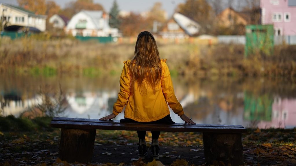 bench, shop, the park, urban landscaping, sitting back, benches, nature, autumn, vacation, sit-3812376.jpg